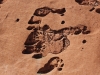 Uluru hike -9
