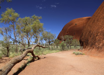 Uluru hike -18