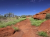 Uluru hike -1