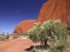 Uluru hike -15
