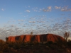 Uluru sunrise -31