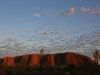 Uluru sunrise -33