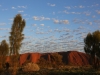Uluru sunrise -37