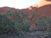 Uluru cultutal ranger hike -11
