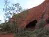 Uluru cultutal ranger hike -16