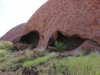 Uluru cultutal ranger hike -21