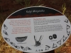 Uluru cultutal ranger hike -22
