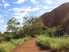 Uluru cultutal ranger hike -27