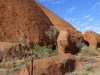 Uluru cultutal ranger hike -30