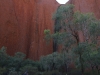 Uluru cultutal ranger hike -32