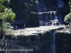 Katoomba Falls cascade hike (22 of 49)