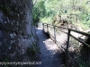Katoomba Falls cascade hike (28 of 49)