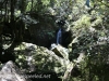 Katoomba Falls cascade hike (42 of 49)