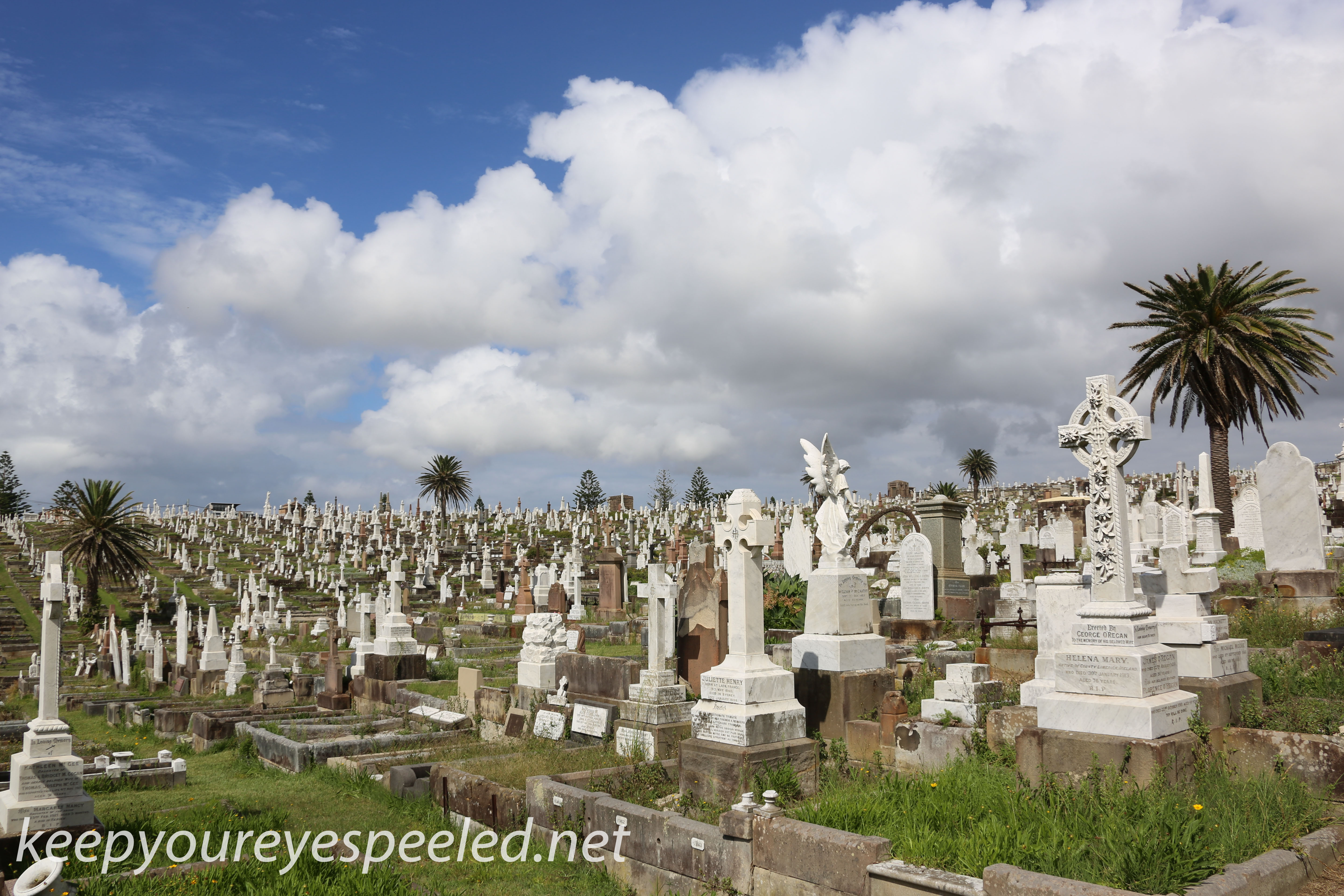 -Waverly Cemetery (14 of 22)