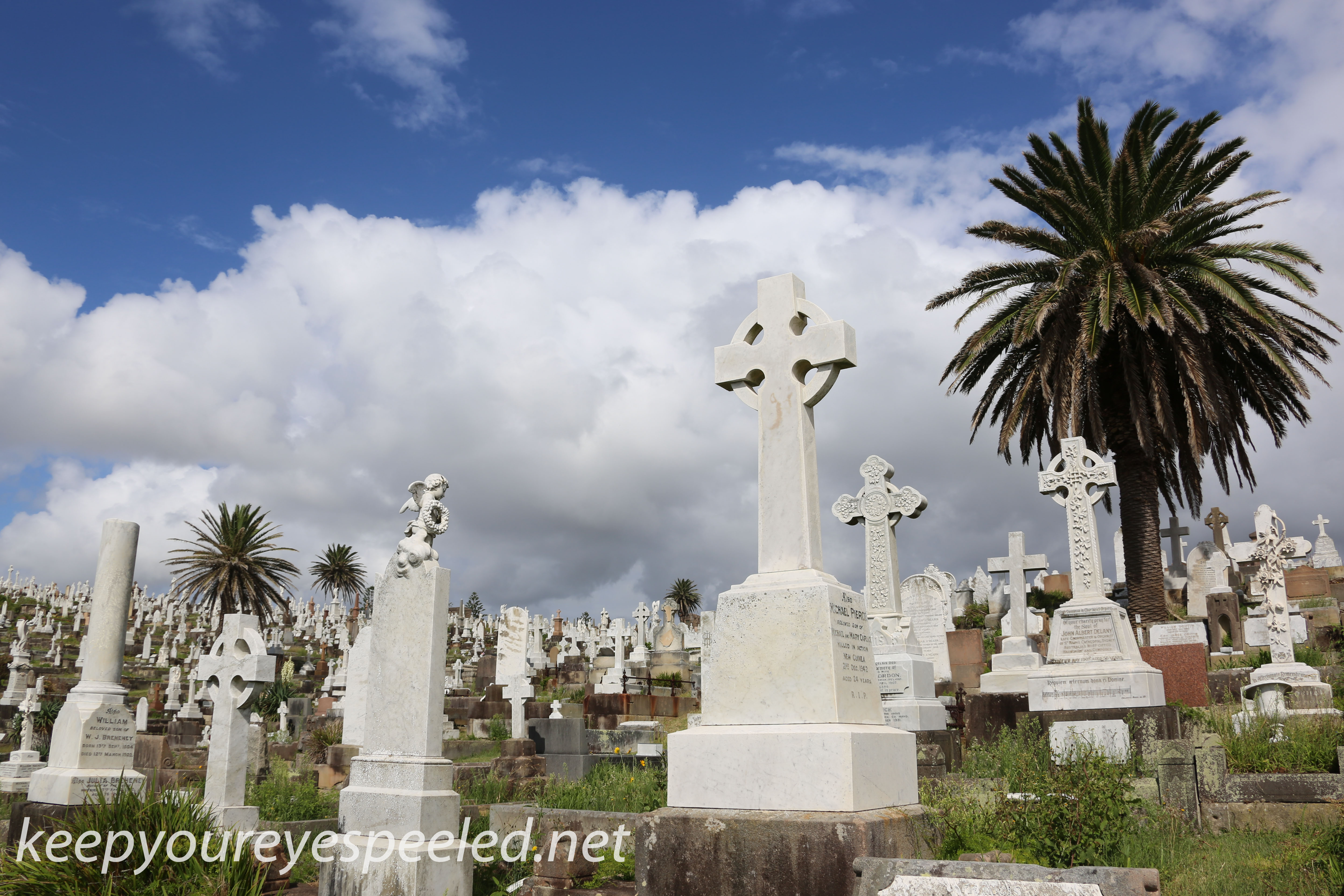 -Waverly Cemetery (16 of 22)