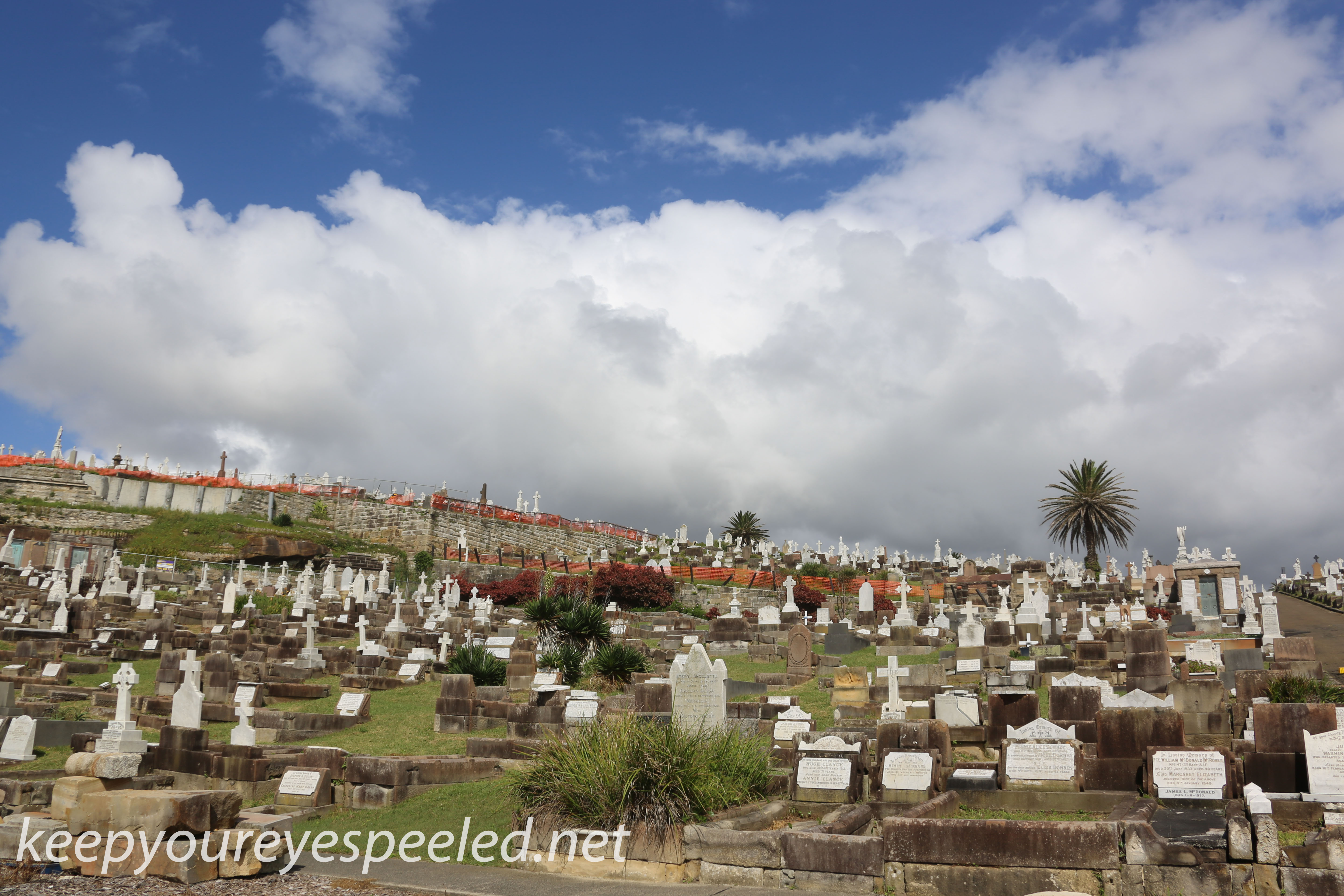 -Waverly Cemetery (20 of 22)