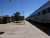 Indian Pacific Cook -2