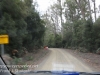 Tasmania Bruny mountain road -1