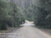 Tasmania Bruny mountain road -2