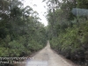 Tasmania Bruny mountain road -4