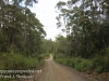 Tasmania Bruny mountain road -8