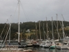 Tasmania Bruny Island Ferry ride-11