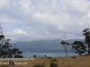 Bruny Island drive to ferry -5