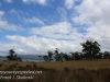 Bruny Island drive to ferry -6