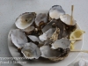 Bruny Island Get shucked oyster -7