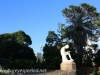 sydney moning walk Botanical Gardens-20