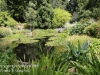 Botanical Gardens -10