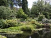 Botanical Gardens -8