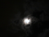 Hobart moonlight walk-21