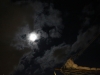 Hobart moonlight walk-22