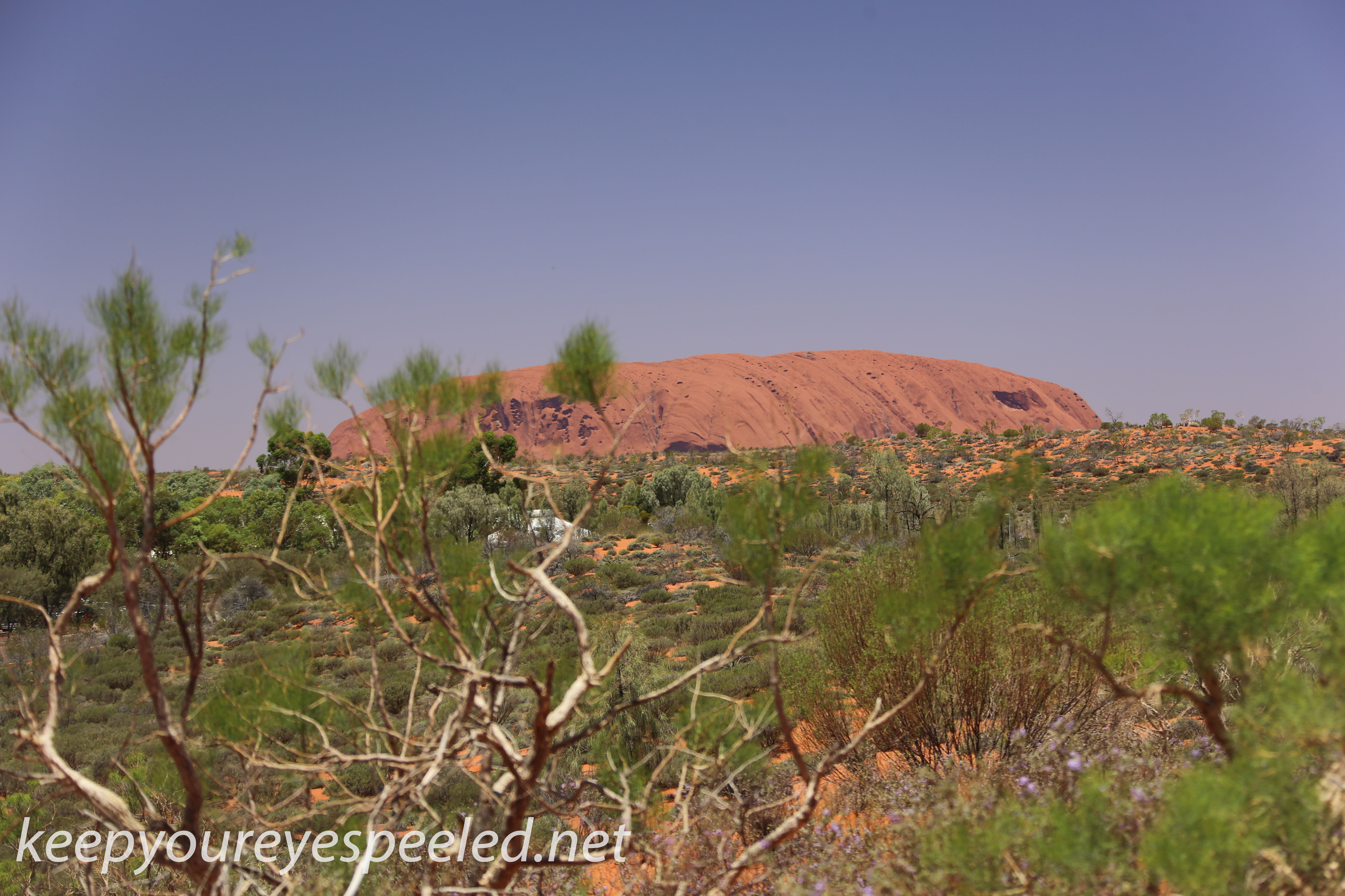 Uluru Desert Gardens hike -11