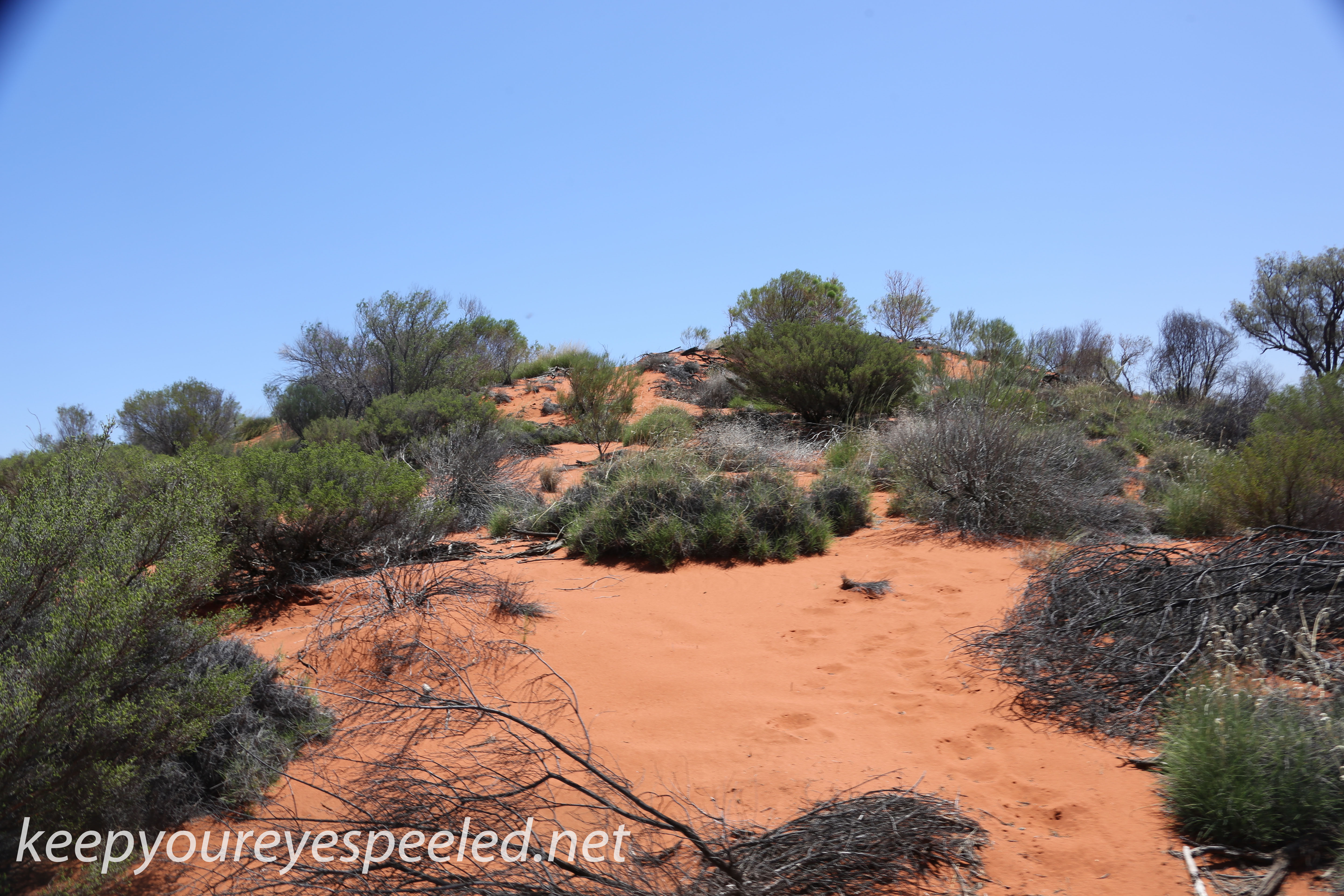 Uluru Desert Gardens hike -17