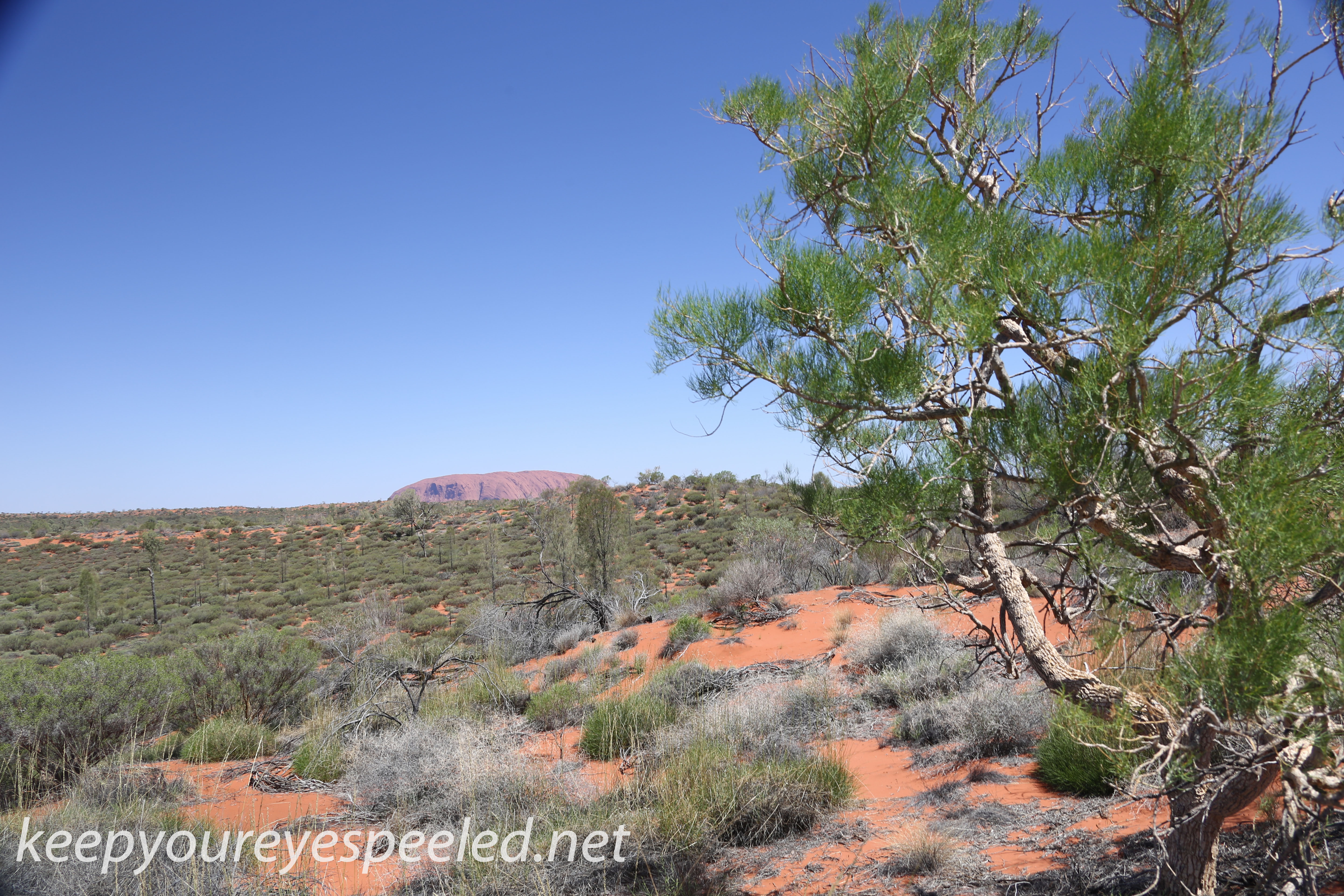 Uluru Desert Gardens hike -29