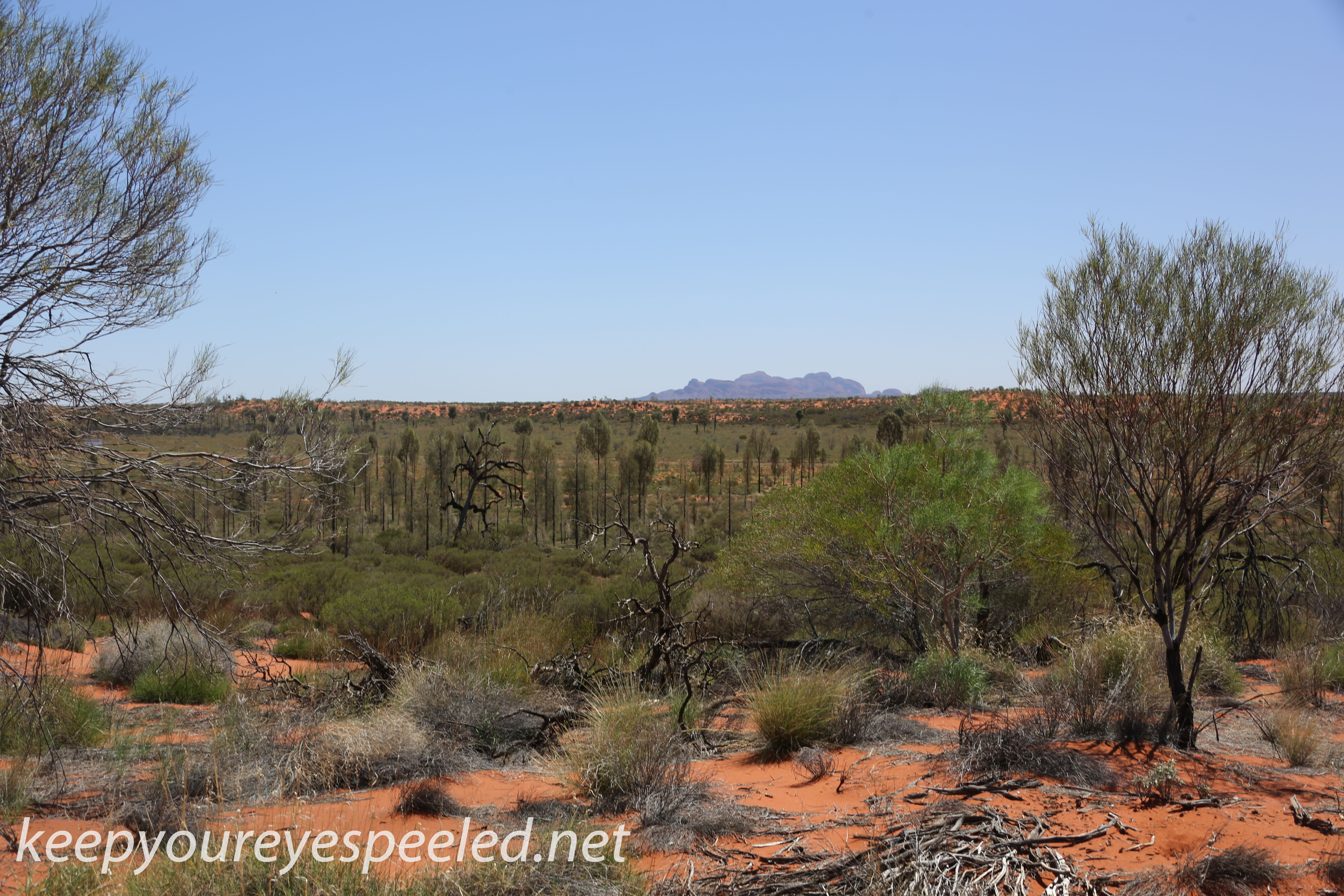 Uluru Desert Gardens hike -32