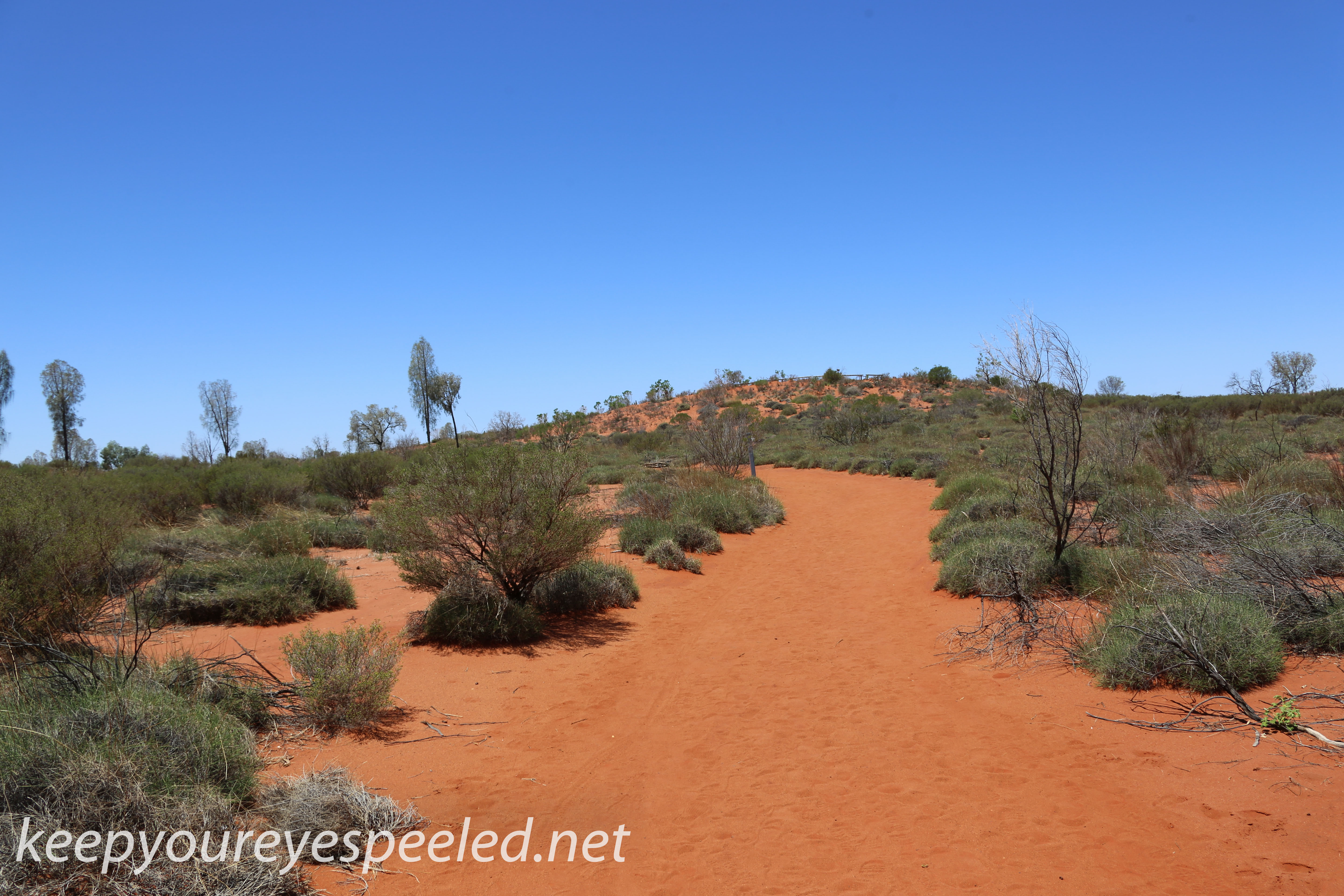 Uluru Desert Gardens hike -5