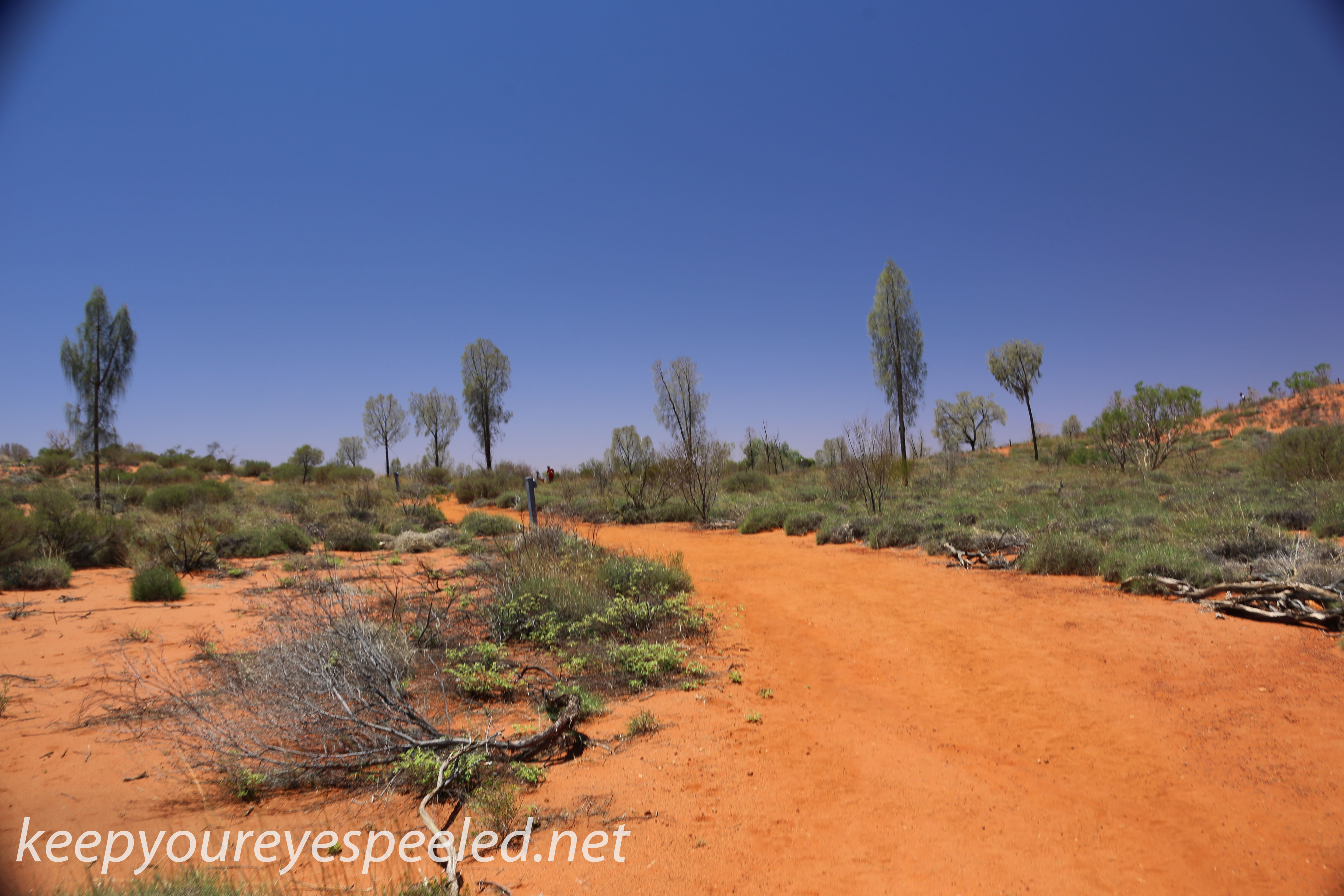 Uluru Desert Gardens hike -6