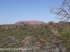 Uluru Desert Gardens hike -26