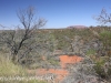 Uluru Desert Gardens hike -28