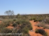 Uluru Desert Gardens hike -30