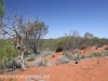 Uluru Desert Gardens hike -34