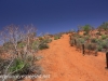 Uluru Desert Gardens hike -8