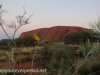 Uluru sunset-27