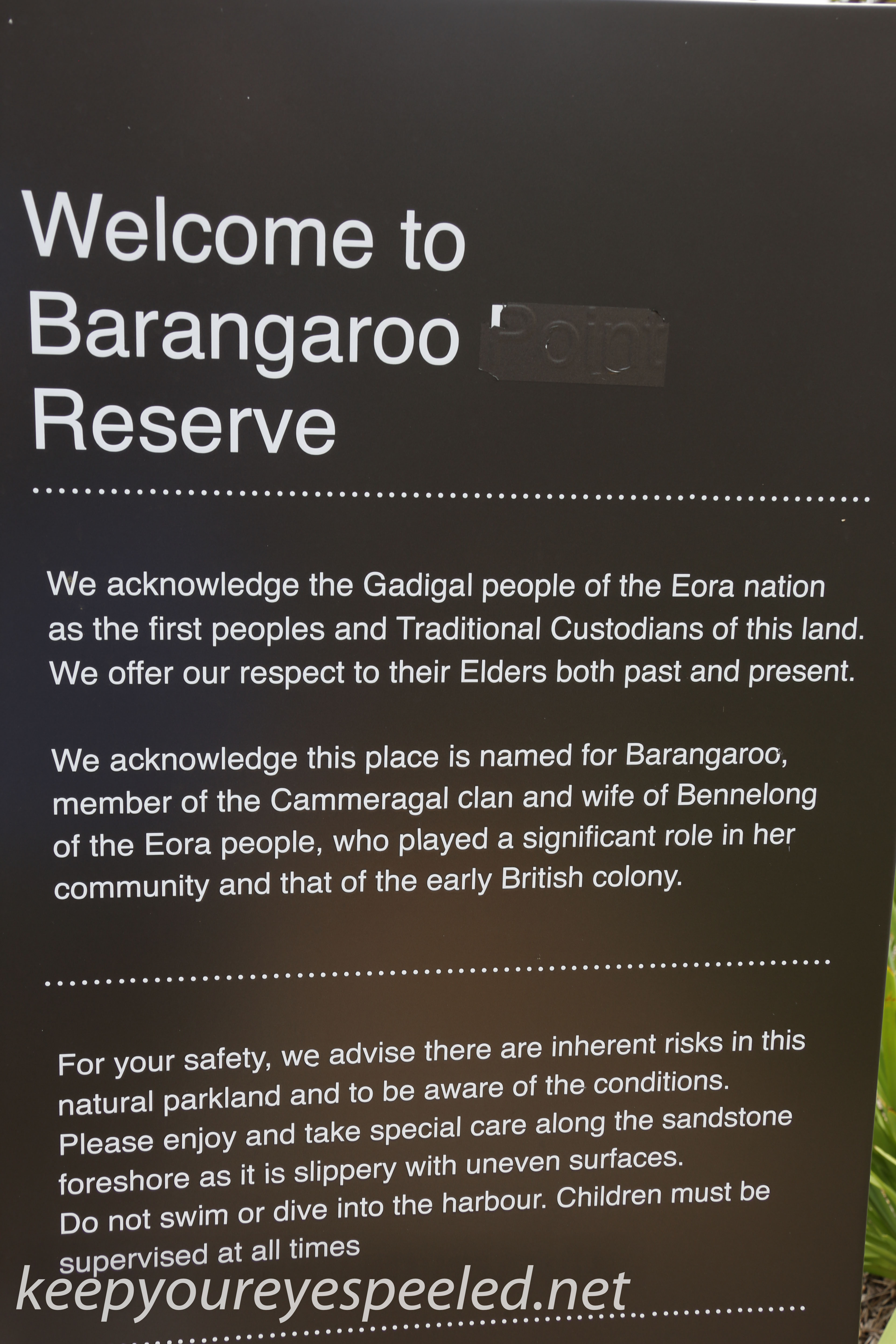 Sydney Barango Reserve walk (13 of 45)