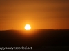 Australia Perth King's Park sunrise -7