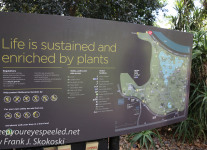 Melbourne Botanical gardens -1