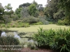 Melbourne Botanical gardens -16